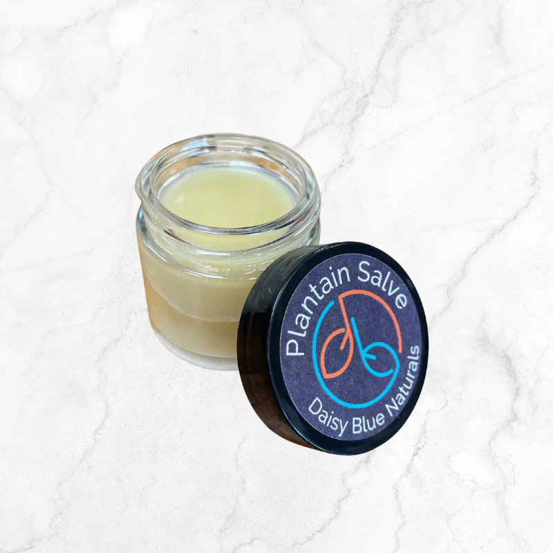 Plantain Salve
